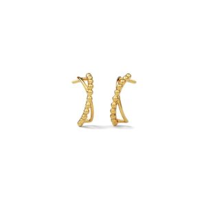 Charvini 22KT Gold Hoop Earrings
